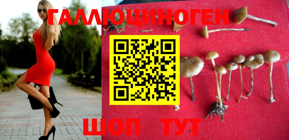 Псилоцибиновые грибы Magic Shrooms Сибай