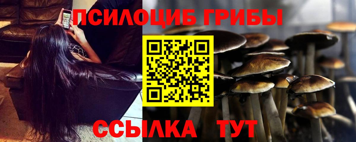 Сибай  Галлюциногенные грибы мухоморы  Вход с VPN 